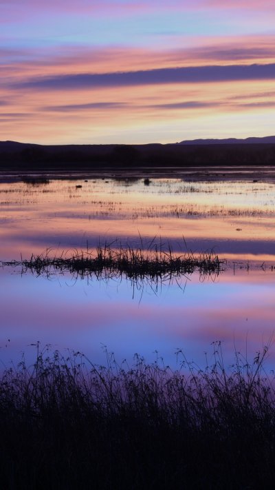 Закат озеро трава