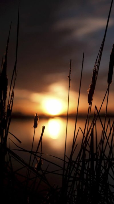 Болотные закаты