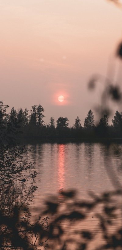 Сумерки природа