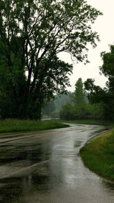 Пасмурный летний день