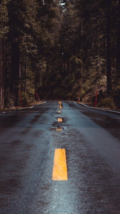 Мокрая дорога