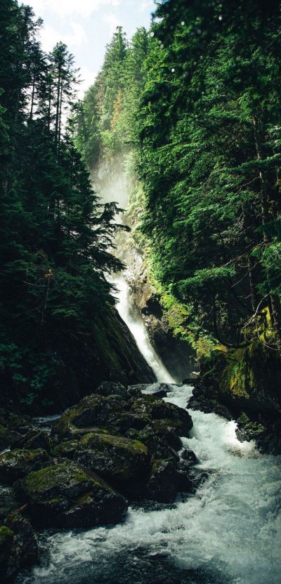 Водопад в лесу
