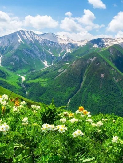 Альпийские Луга Сванетии