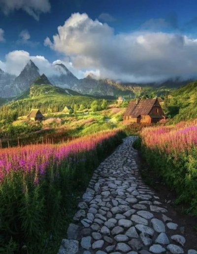 Цветы в горах