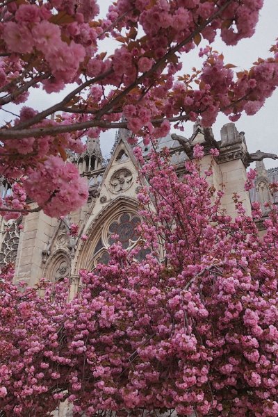 Париж весной