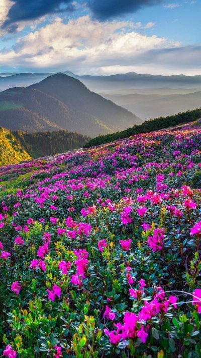 Красивая природа