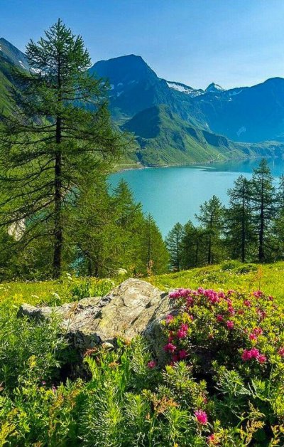 Альпийские Луга Швейцария