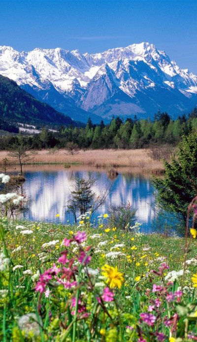 Горные луга