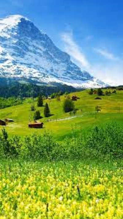 Альпийские Луга Швейцария