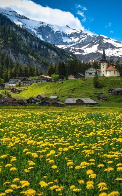 Альпийские Луга Швейцария