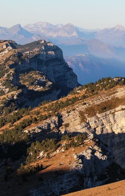 Рельеф картинки