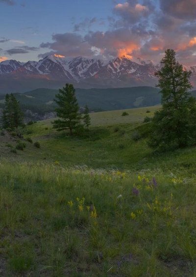 Горные степи