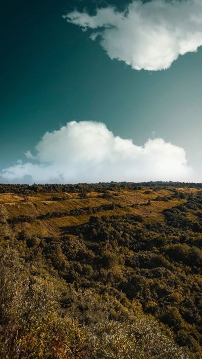 Атмосферное поле