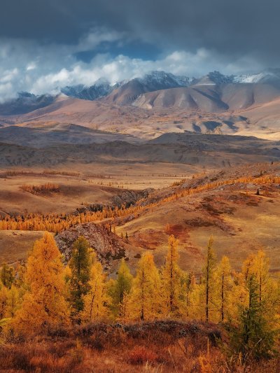 Курайская степь горный Алтай