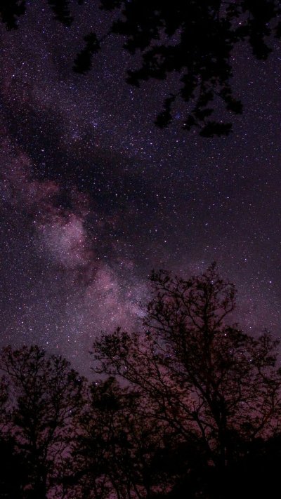 Звездное небо