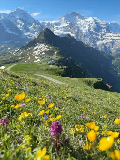 Альпийские долины