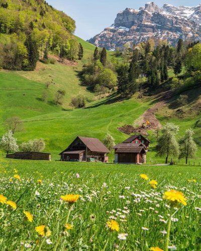 Аппенцелль Швейцария лето