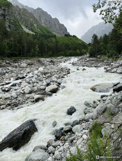 Цейский ледник