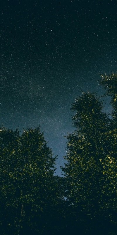 Звездное небо