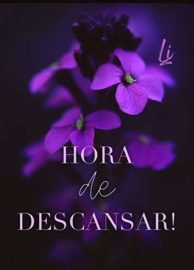 Фиолетовые цветы