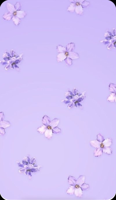 Мелкие фиолетовые цветочки