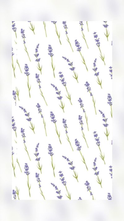 Лаванда шалфей Вереск