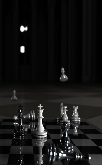 Шахматы черно белые