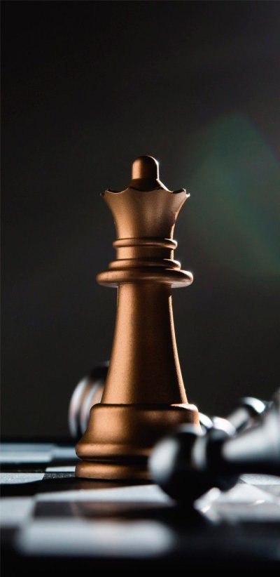 Шахматы обои