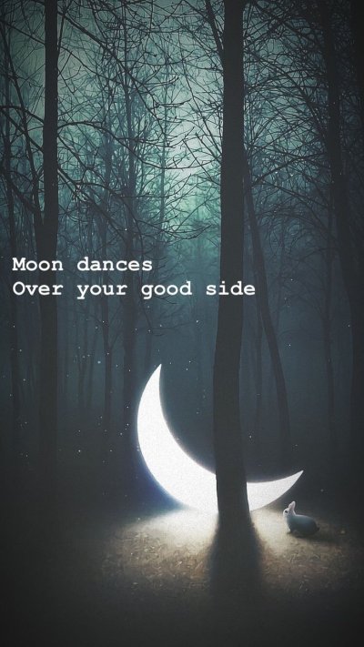 Страшный лес ночью