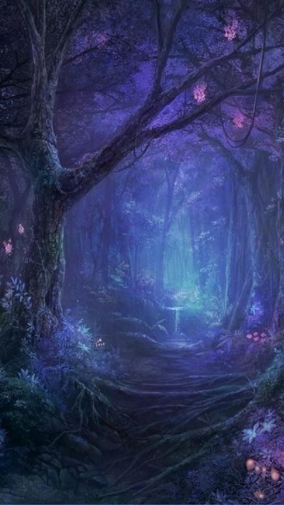 Волшебный лес