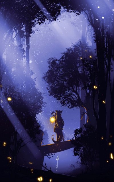 Красивая ночь