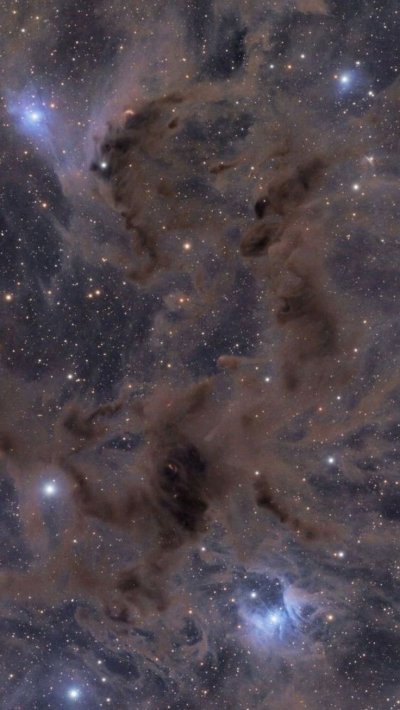 Туманность Ирис NGC 7023