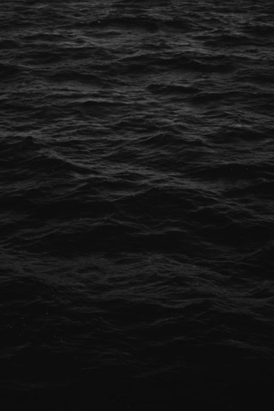 Черная вода