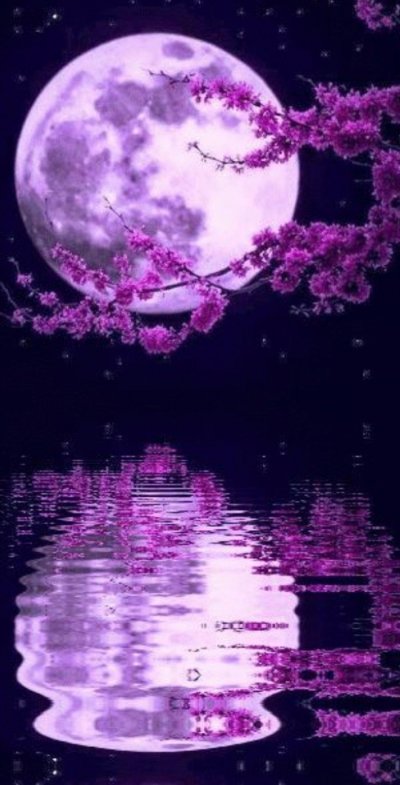 Фиолетовая Луна