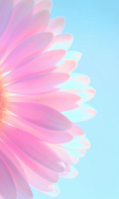 Цветочный фон