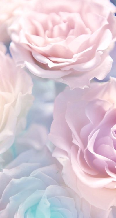 Цветы в пастельных тонах