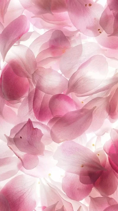 Цветочный фон