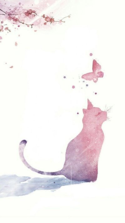 Котик на розовом фоне