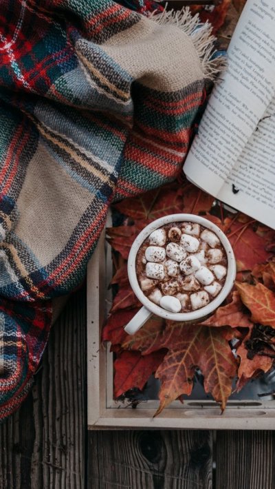 Осень чай плед