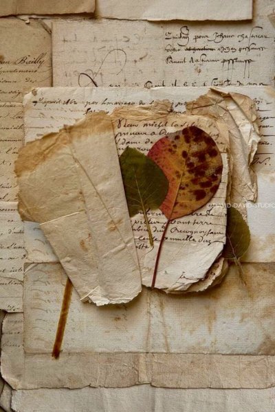 Старые рукописи Эстетика