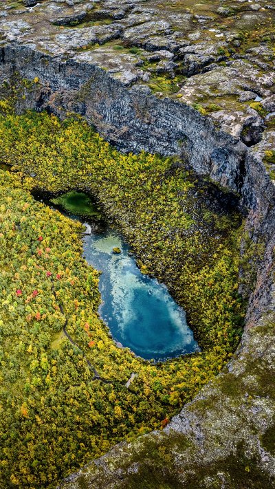 Природа сверху