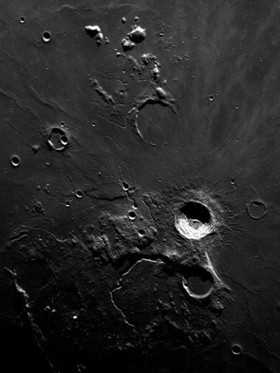 Self destructive Vorsa