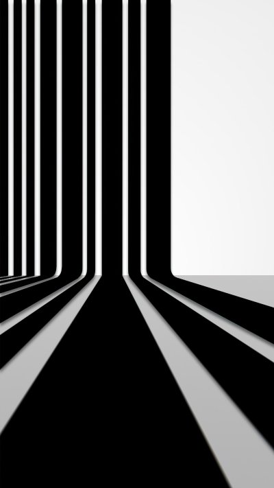 Черно белый сектор