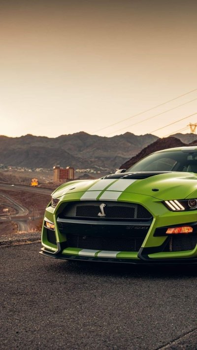 Ford Mustang Shelby gt500 2021