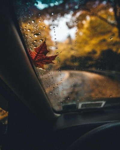 Осенний вид из машины