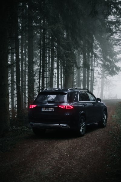 Красивая картинка GLE С водителем со спины