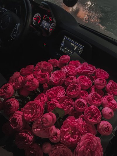 Цветы в машине