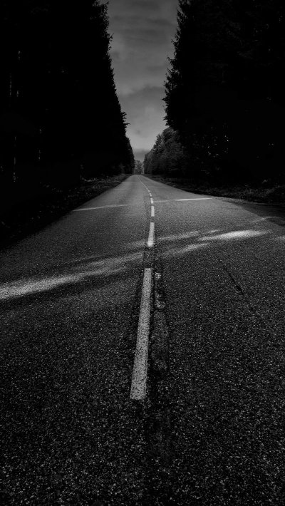 Темные дороги