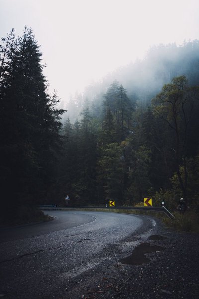 Дорога в лесу