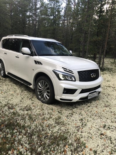 Infiniti qx80